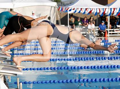 Thumbnail 1 in AIA D2 Swim Finals photogallery.