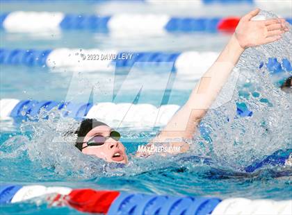 Thumbnail 3 in AIA D2 Swim Finals photogallery.
