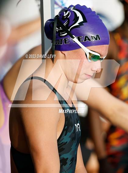 Thumbnail 2 in AIA D2 Swim Finals photogallery.
