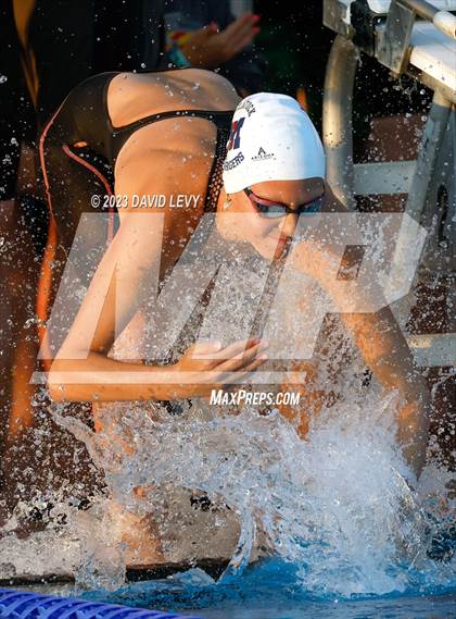 Thumbnail 3 in AIA D2 Swim Finals photogallery.