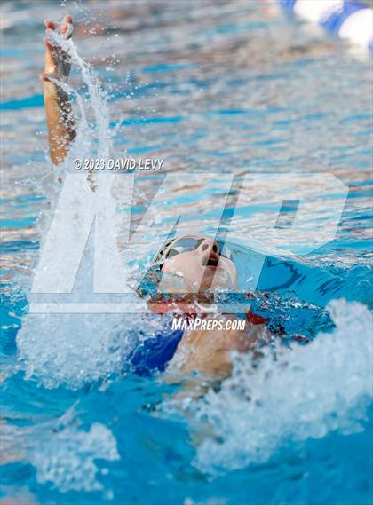 Thumbnail 3 in AIA D2 Swim Finals photogallery.