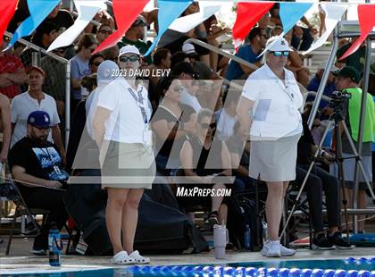 Thumbnail 3 in AIA D2 Swim Finals photogallery.