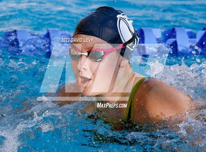 Thumbnail 1 in AIA D2 Swim Finals photogallery.