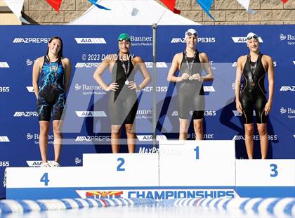 Thumbnail 1 in AIA D2 Swim Finals photogallery.