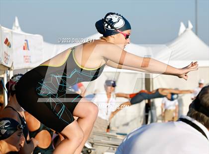 Thumbnail 2 in AIA D2 Swim Finals photogallery.