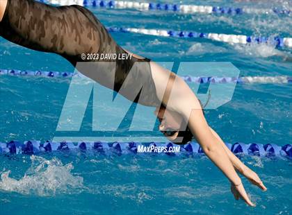 Thumbnail 2 in AIA D2 Swim Finals photogallery.