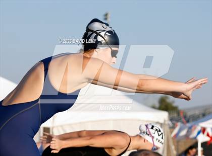 Thumbnail 3 in AIA D2 Swim Finals photogallery.