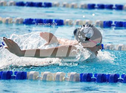 Thumbnail 3 in AIA D2 Swim Finals photogallery.
