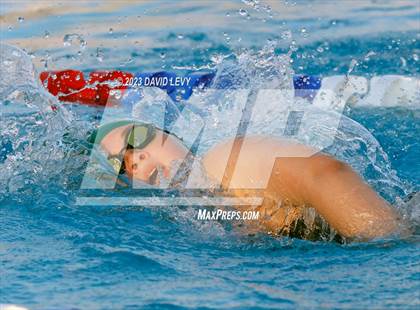 Thumbnail 3 in AIA D2 Swim Finals photogallery.