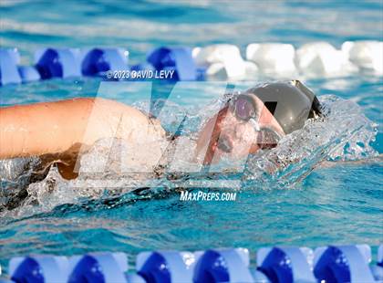 Thumbnail 2 in AIA D2 Swim Finals photogallery.