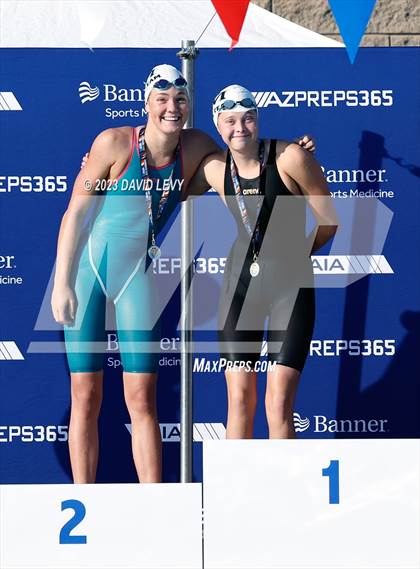 Thumbnail 3 in AIA D2 Swim Finals photogallery.