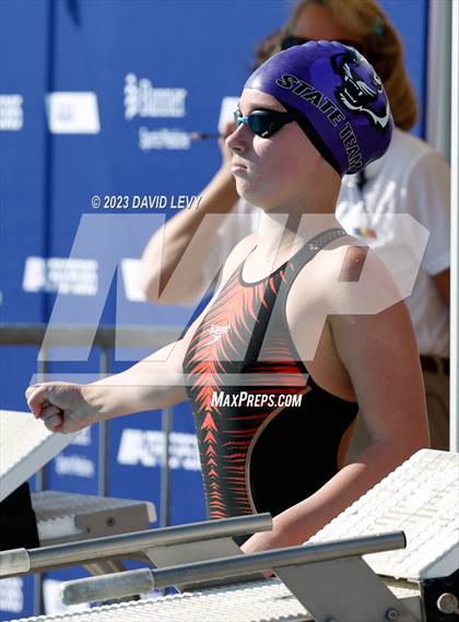 Thumbnail 3 in AIA D2 Swim Finals photogallery.