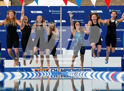 Thumbnail 2 in AIA D2 Swim Finals photogallery.
