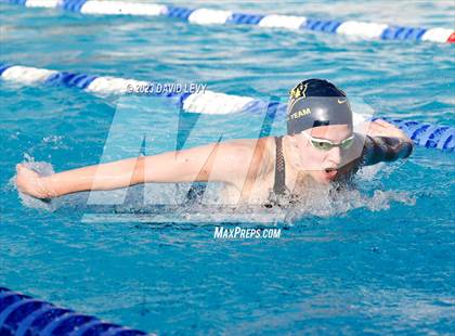 Thumbnail 3 in AIA D2 Swim Finals photogallery.