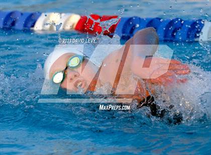 Thumbnail 2 in AIA D2 Swim Finals photogallery.