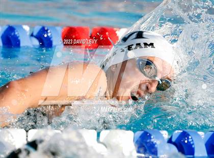Thumbnail 1 in AIA D2 Swim Finals photogallery.