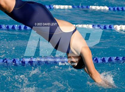 Thumbnail 1 in AIA D2 Swim Finals photogallery.