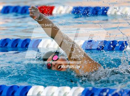 Thumbnail 3 in AIA D2 Swim Finals photogallery.