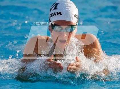 Thumbnail 3 in AIA D2 Swim Finals photogallery.