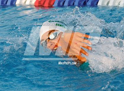 Thumbnail 1 in AIA D2 Swim Finals photogallery.