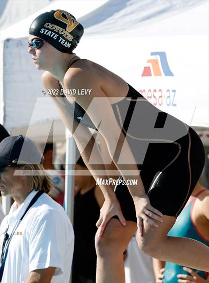 Thumbnail 2 in AIA D2 Swim Finals photogallery.