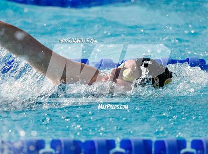 Thumbnail 3 in AIA D2 Swim Finals photogallery.