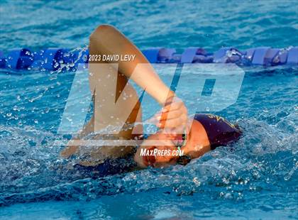 Thumbnail 2 in AIA D2 Swim Finals photogallery.