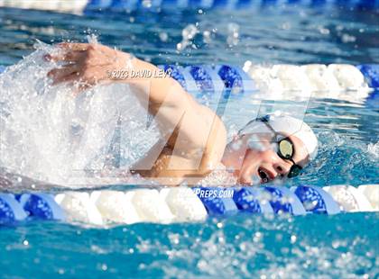 Thumbnail 2 in AIA D2 Swim Finals photogallery.
