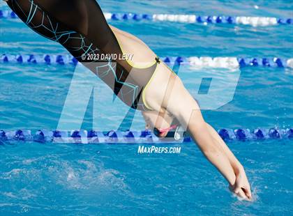 Thumbnail 3 in AIA D2 Swim Finals photogallery.