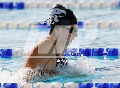 Thumbnail 3 in AIA D2 Swim Finals photogallery.