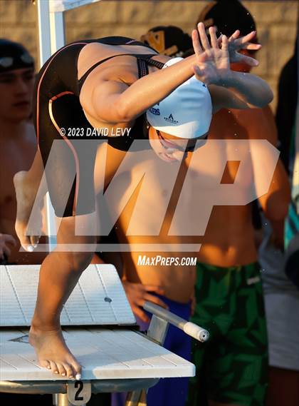 Thumbnail 1 in AIA D2 Swim Finals photogallery.