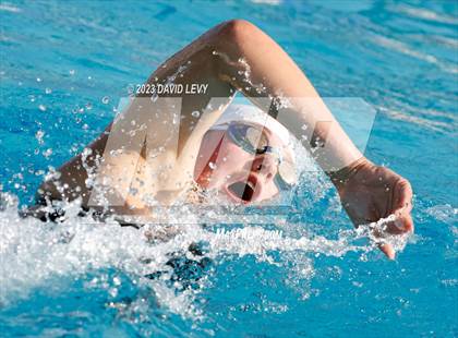 Thumbnail 3 in AIA D2 Swim Finals photogallery.