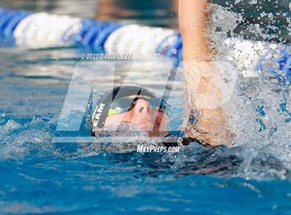 Thumbnail 3 in AIA D2 Swim Finals photogallery.