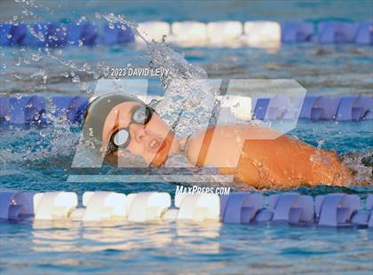 Thumbnail 3 in AIA D2 Swim Finals photogallery.