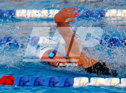 Thumbnail 3 in AIA D2 Swim Finals photogallery.
