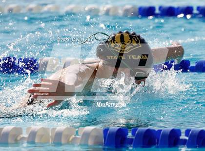 Thumbnail 1 in AIA D2 Swim Finals photogallery.