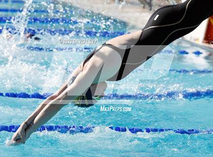 Thumbnail 2 in AIA D2 Swim Finals photogallery.