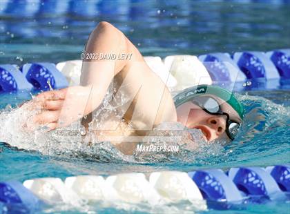 Thumbnail 1 in AIA D2 Swim Finals photogallery.