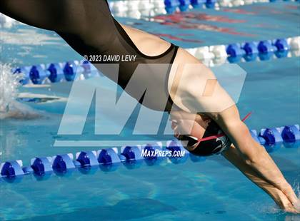 Thumbnail 3 in AIA D2 Swim Finals photogallery.