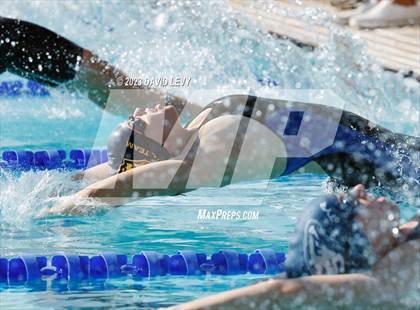 Thumbnail 3 in AIA D2 Swim Finals photogallery.