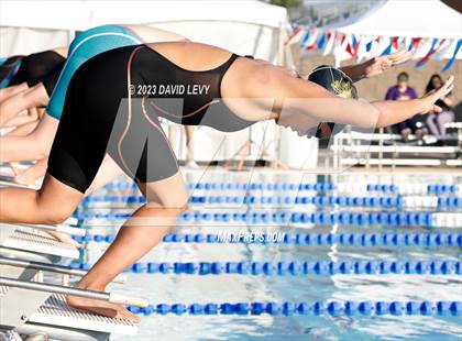Thumbnail 2 in AIA D2 Swim Finals photogallery.