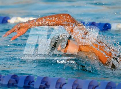 Thumbnail 1 in AIA D2 Swim Finals photogallery.