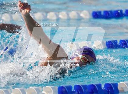 Thumbnail 3 in AIA D2 Swim Finals photogallery.