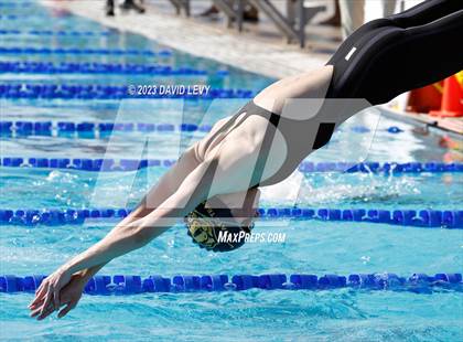 Thumbnail 2 in AIA D2 Swim Finals photogallery.