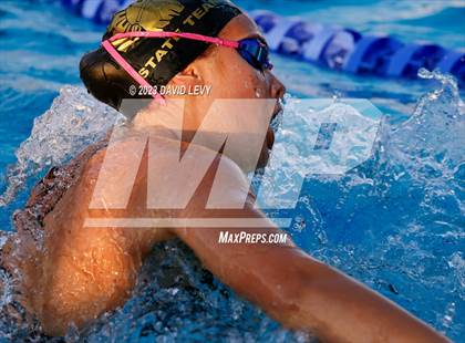 Thumbnail 1 in AIA D2 Swim Finals photogallery.