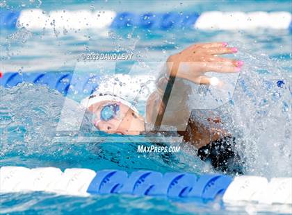 Thumbnail 3 in AIA D2 Swim Finals photogallery.