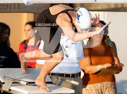 Thumbnail 2 in AIA D2 Swim Finals photogallery.