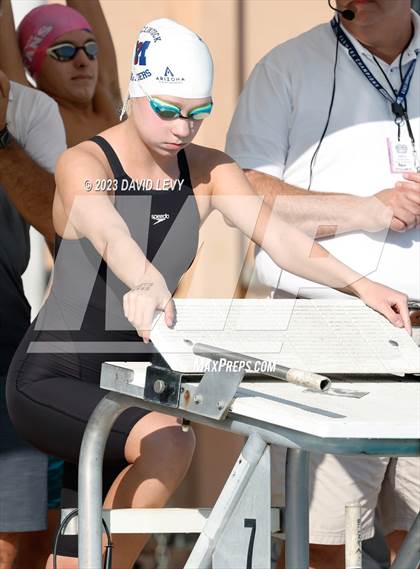 Thumbnail 1 in AIA D2 Swim Finals photogallery.