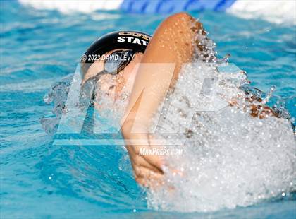 Thumbnail 2 in AIA D2 Swim Finals photogallery.