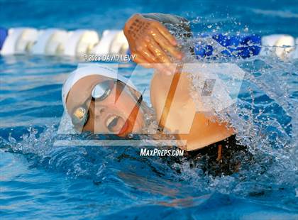 Thumbnail 3 in AIA D2 Swim Finals photogallery.